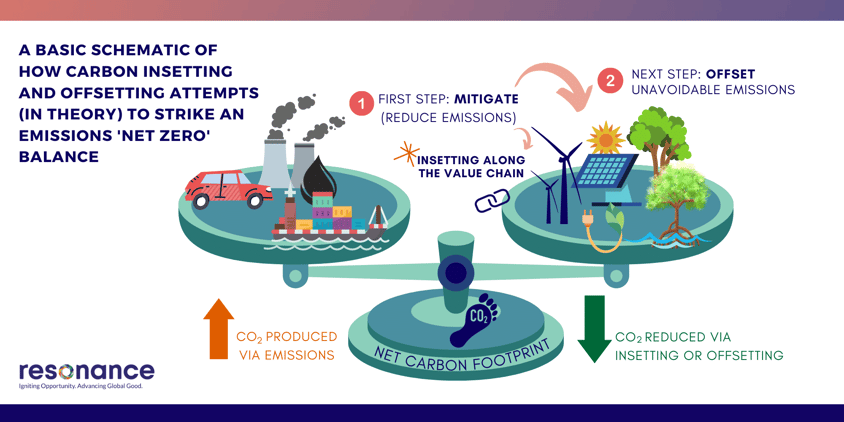 Carbon Insetting Vs Offsetting A Primer For Sustainability Leaders